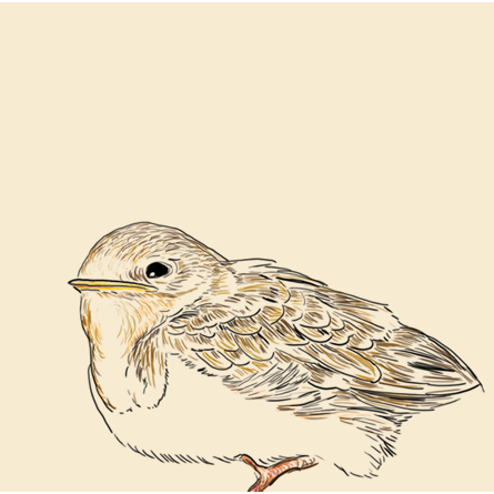 答えを教えることよりも問いを持たせること 啐啄同時を考える Mindseeds Journal